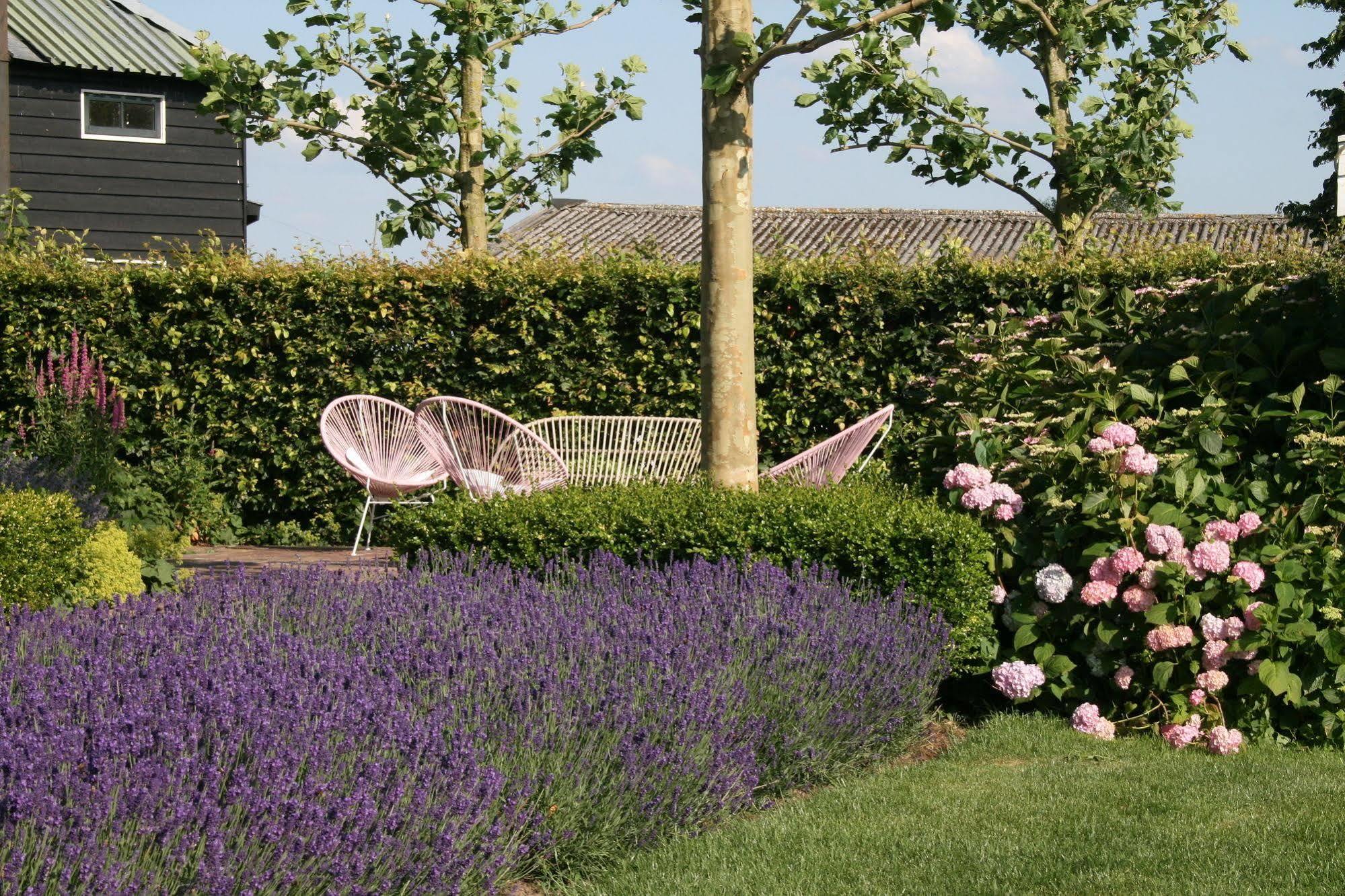 Boutique Hotel Villa Oldenhoff 阿布考德 外观 照片